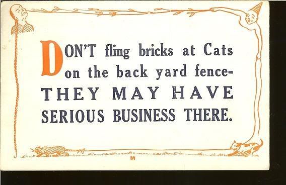 Comic Saying POSTCARD Dont Fling Brinks @ Cats Motto  