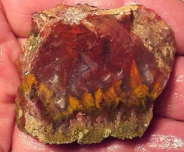 ORCA Vibrant Rare Old Bullion Mountain Agate Slabs, California  