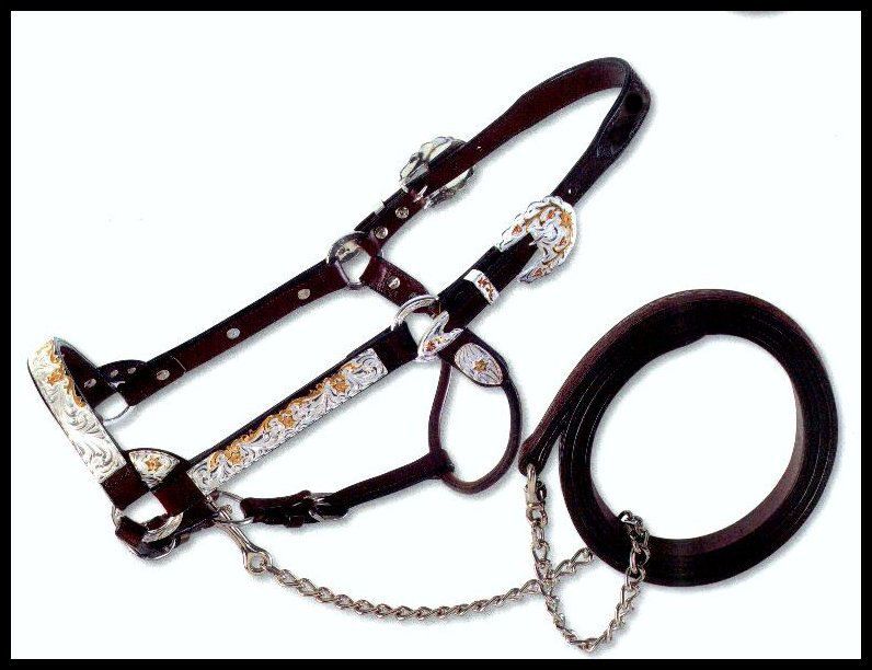 Circle Y Show Halter Horse Size 693 0005  