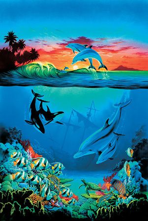 Undersea Dolphins Whales UNDER THE SEA Wallpaper Mural  