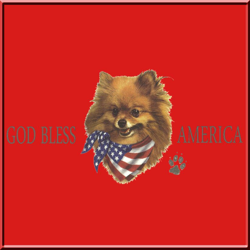 God Bless America Pomeranian Flag T Shirts KIDS S,M,& L  