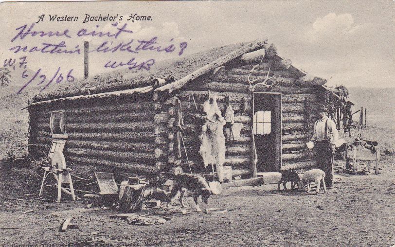 Western Bachelors HOme old west scene cowboy Postcard  