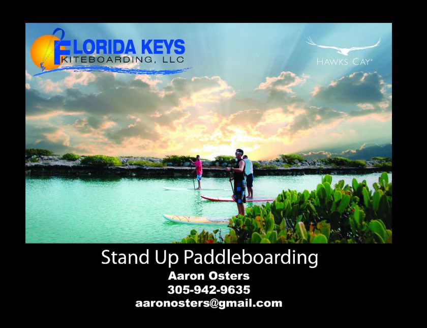 Stand Up Paddleboard SUP Paddle Board Paddleboards New and Used Great 