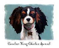 CAVALIER KING CHARLES SPANIEL Art T Shirt ALL SIZES  