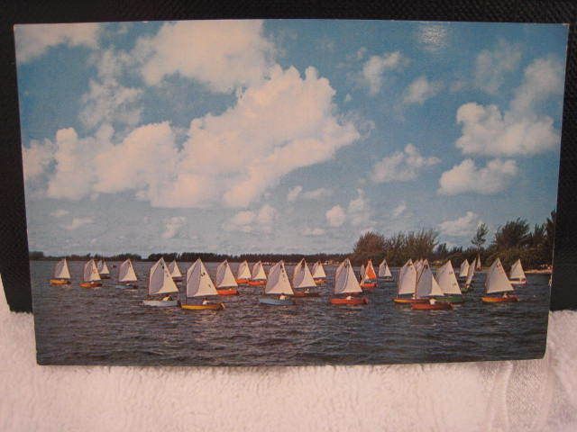 PRAM CLASS SAILBOATS Sarasota Bay Florida Boat Postcard  