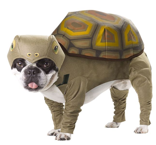 Cute Pet Dog Halloween Costume Turtle Shell Costume Outfit Small 12 