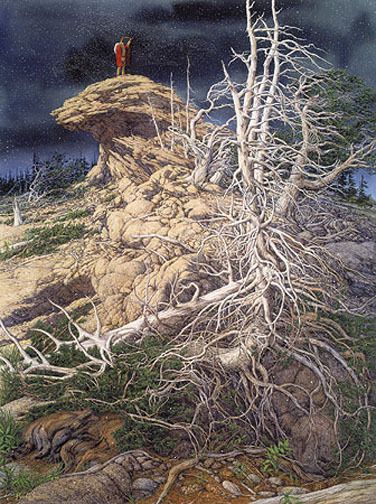 775 Bev Doolittle PRAYER FOR THE WILD THINGS Print  