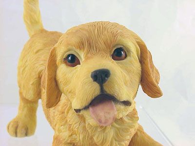 Golden Retriever Puppy   Puppy Love by Country Artists  