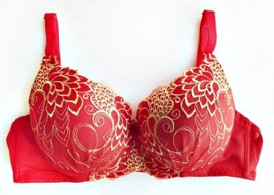 NEW SEXY LACEY Unique Floral Peacock Design Push up Bra  