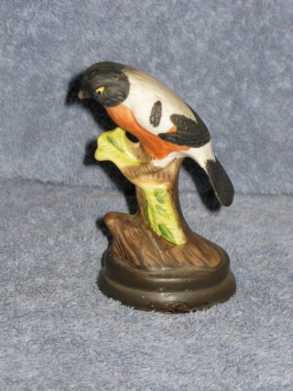 Bull Finch Bird Porcelain Figurine  