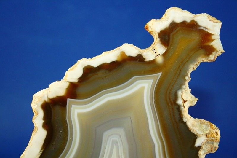 unique pattern Agate Slice crystal flower Ideal Gift 44  