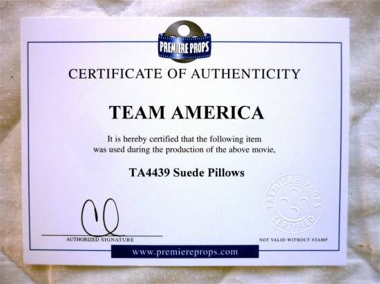   AMERICA SUEDE PARLOR PILLOWS ORIGINAL MOVIE PROP SCREEN SEEN  