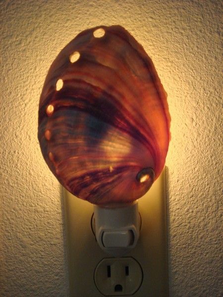 RED ABALONE SEA SHELL NIGHTLIGHT BATHROOM KITCHEN 6 #7119A  