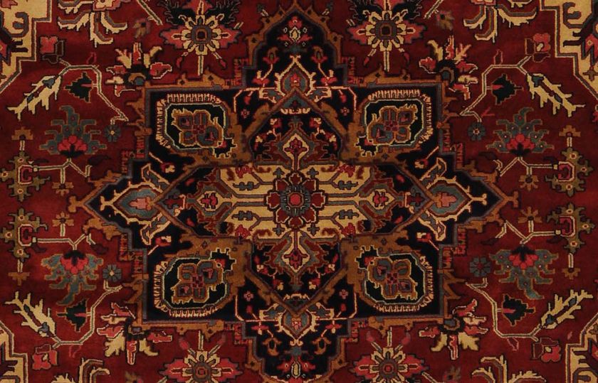 Large Area Rugs Hand Knotted Jaipur oriental Rug 8 x 11  